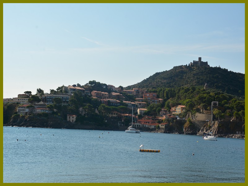 Collioure