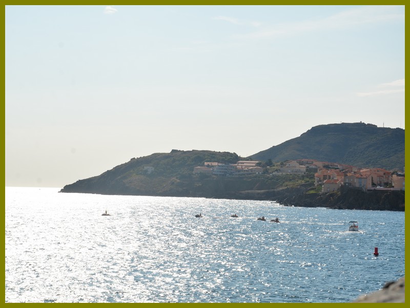 Collioure