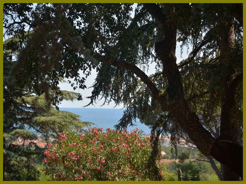 Argelès-sur-Mer - Parc de Valmy