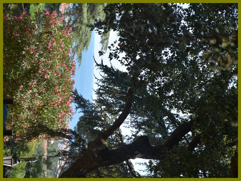 Argelès-sur-Mer - Parc de Valmy