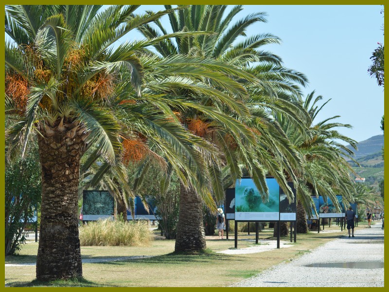 Argelès-sur-Mer - Esplanade Charles-Trenet